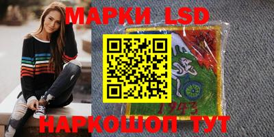 шишки Заволжье