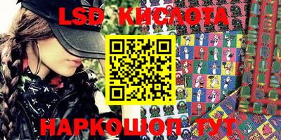 шишки Заволжье