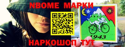 шишки Заволжье