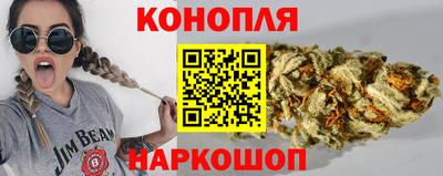 шишки Заволжье