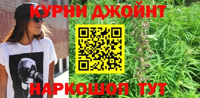 шишки Заволжье