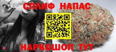 шишки Заволжье
