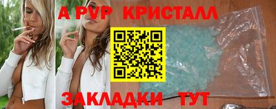 шишки Заволжье