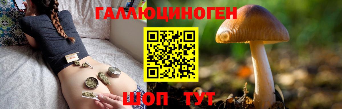 Псилоцибиновые грибы ЛСД  Псилоцибиновые грибы ЛСД  Кызыл  Вход с VPN 
